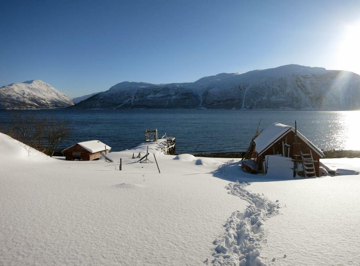 Apartment Camp Olderdalen